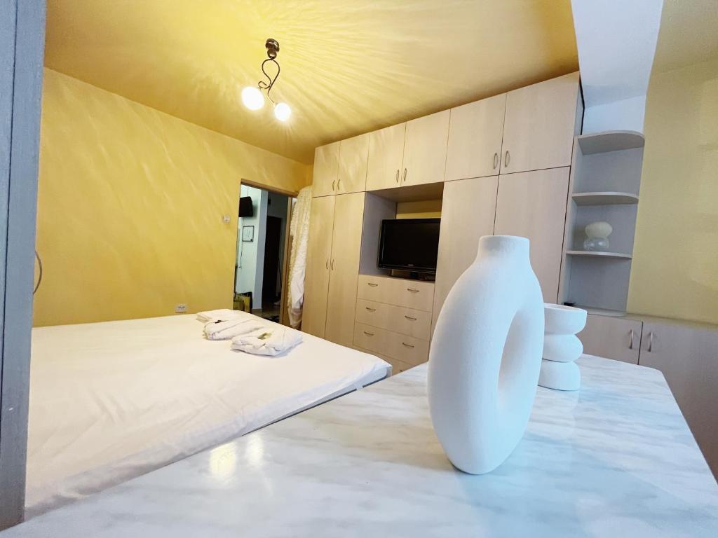 Timisoara Central Apartament 아파트 외부 사진