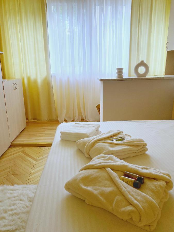 Timisoara Central Apartament 아파트 외부 사진