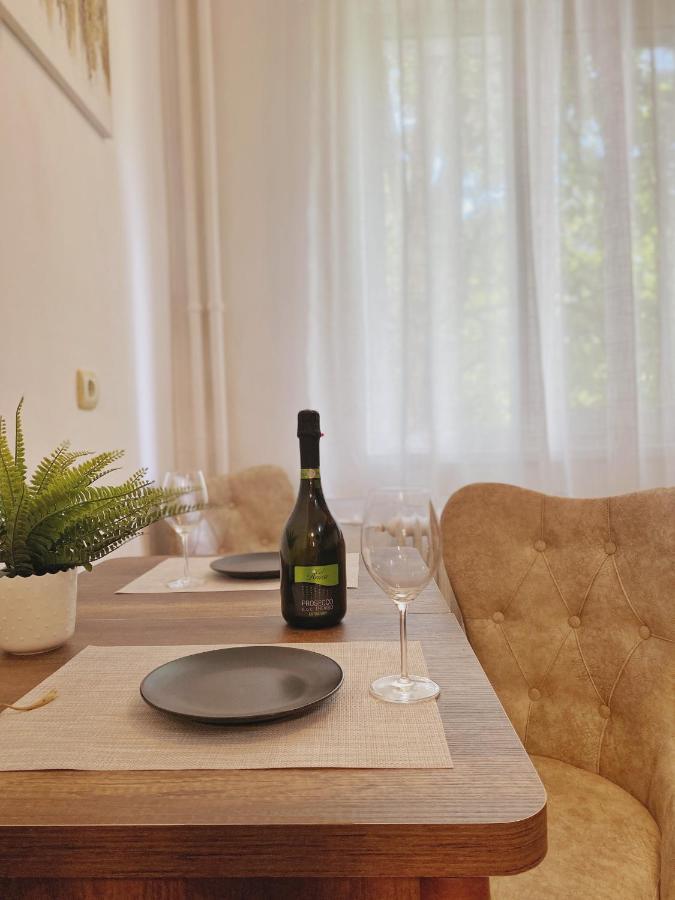 Timisoara Central Apartament 아파트 외부 사진