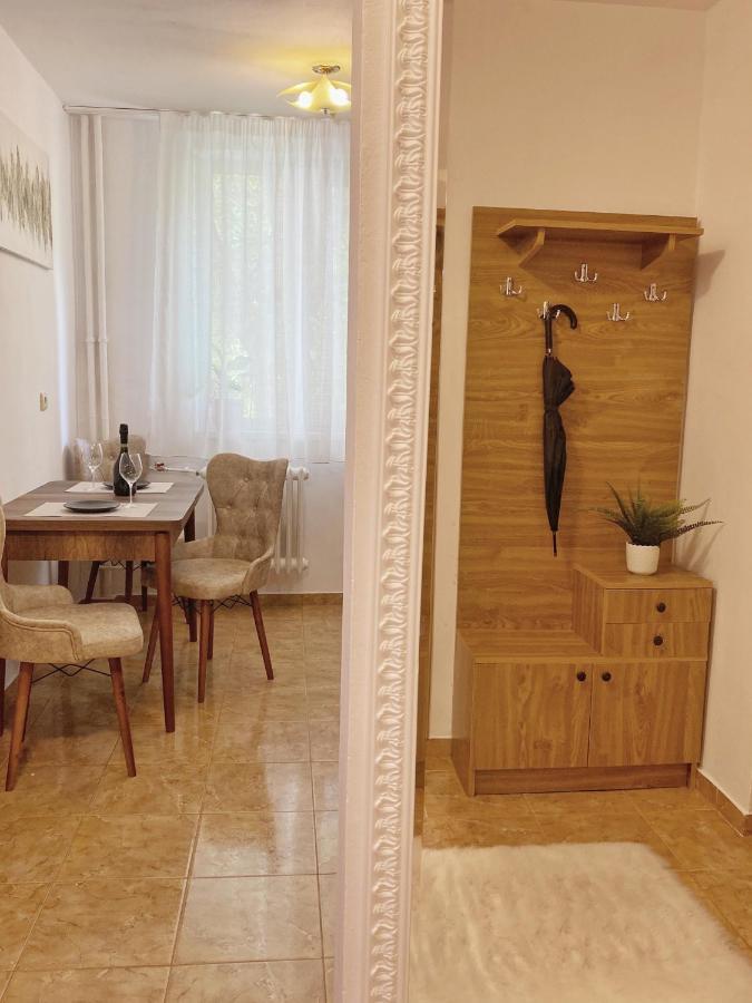Timisoara Central Apartament 아파트 외부 사진