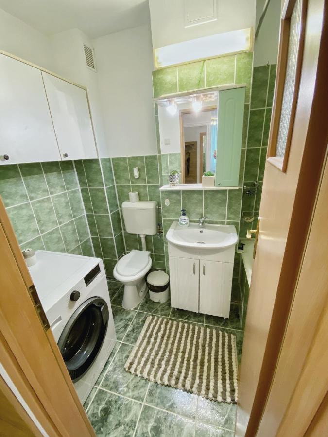Timisoara Central Apartament 아파트 외부 사진