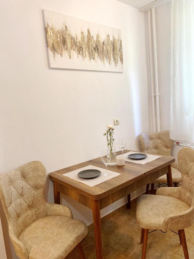 Timisoara Central Apartament 아파트 외부 사진