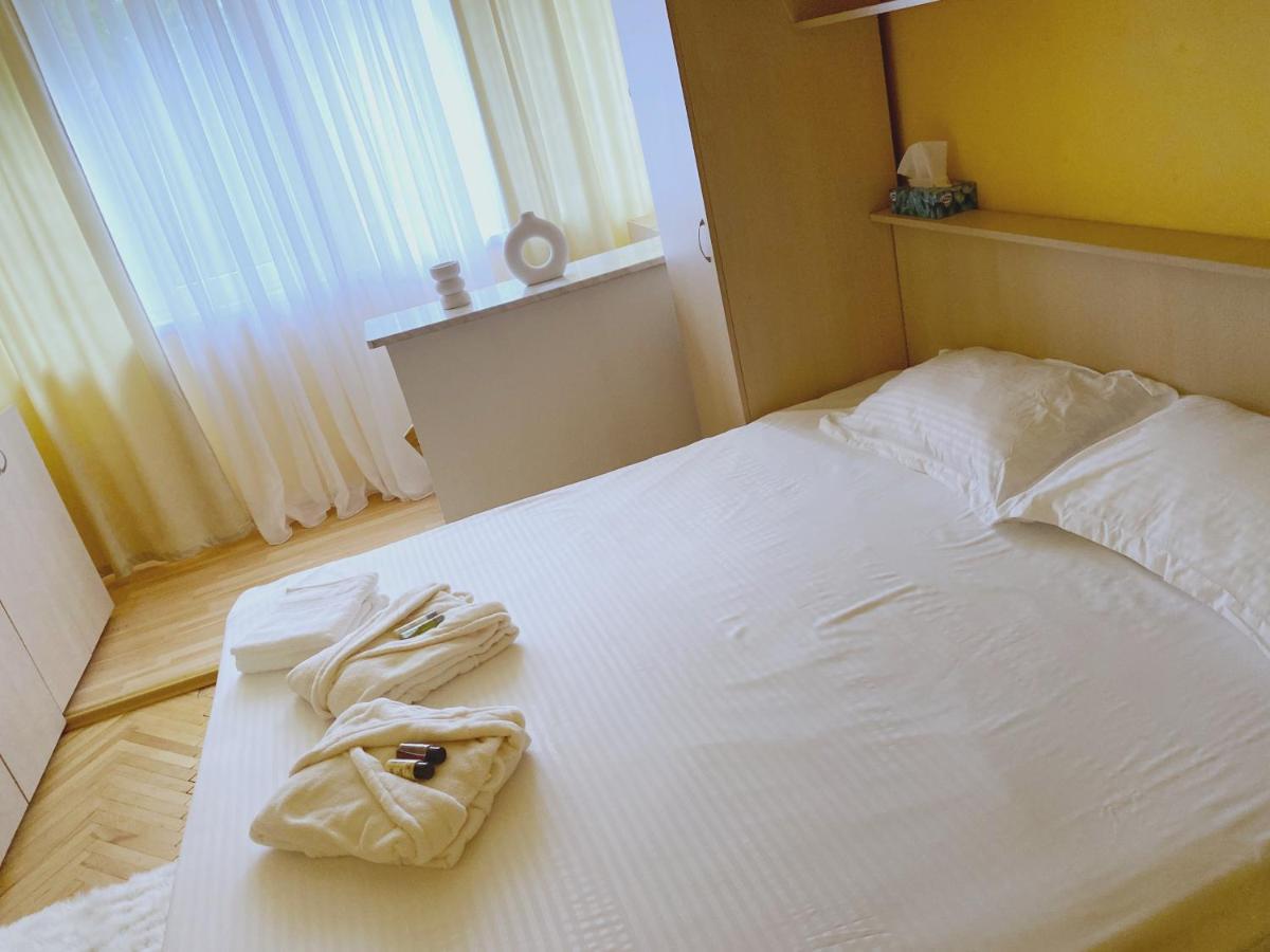 Timisoara Central Apartament 아파트 외부 사진